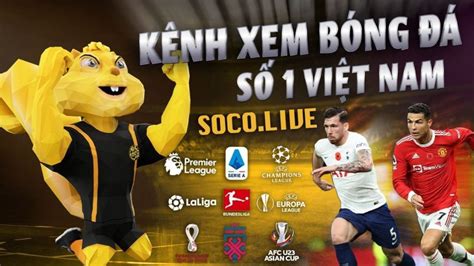 Socolive .